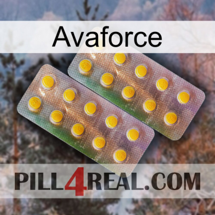 Avaforce new10